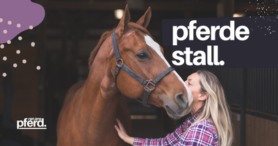 Stall für Pferde: Pferdestall, Pferdeboxen, Reitstall und Offenstall