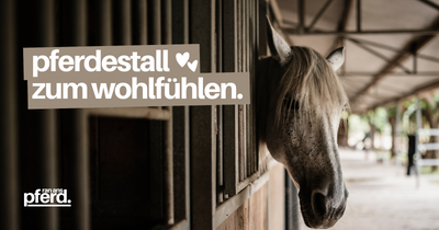 Pferdestall zum Wohlfühlen: Schöne Pferdeboxen und Pferdeställe bauen