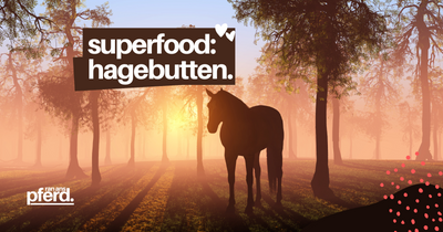 Superfood: Hagebutte für Pferde mit Vitamin C Power