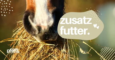Zusatzfutter für Pferde: Natürliche Kräuter, Samen und Gewürze