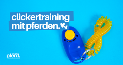 Clickertraining mit Pferden: Pferdetraining mit und ohne Pferdetrainer