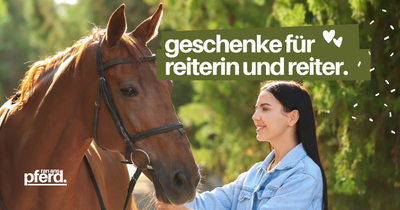 Geschenke für Reiterin und Reiter: Futter, Pferde Bilder oder Luxus ?