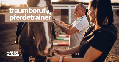 Pferdeberuf: Traumberuf Pferdetrainer - Ausbildung zur Pferdetrainerin