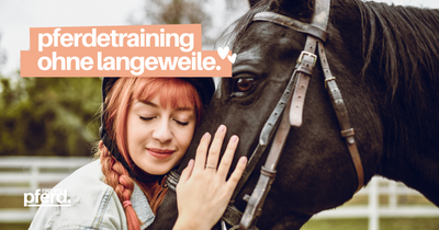 Pferdetraining: Langeweile und Überforderung mit Pferden vermeiden