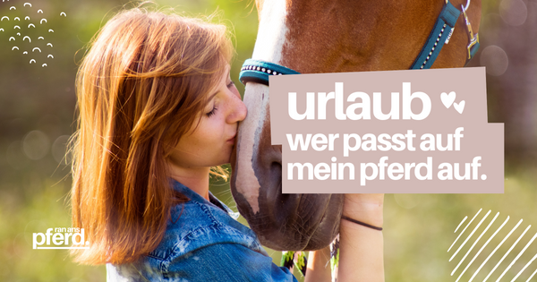 Urlaub: Wer passt auf mein Pferd auf