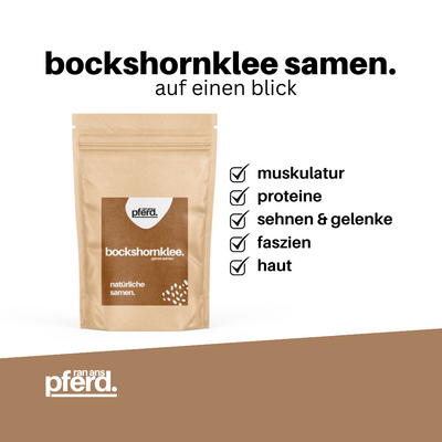 Bockshornklee für Pferde kaufen auf ran-ans-pferd.de