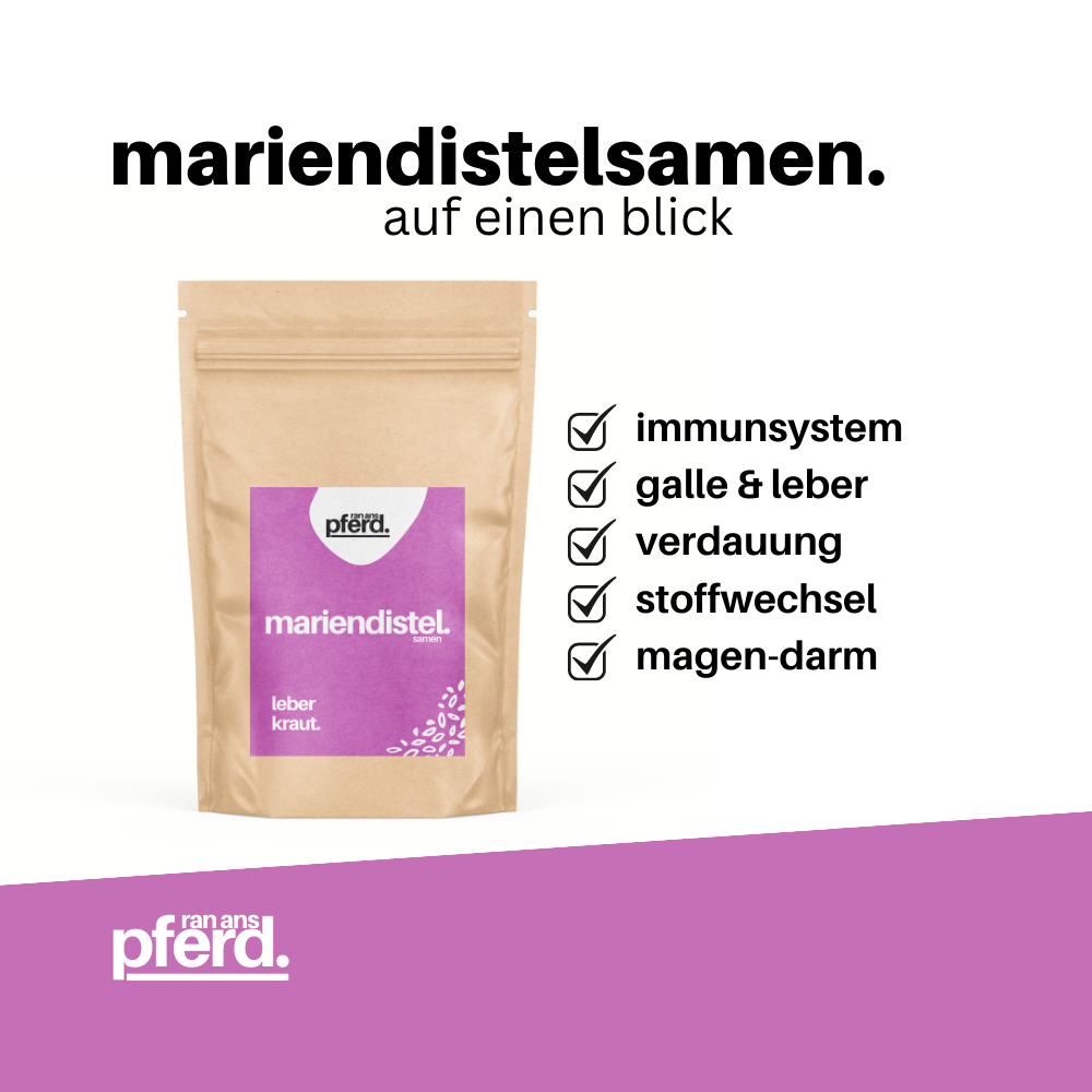 Mariendistelsamen für Pferde kaufen auf ran-ans-pferd.de