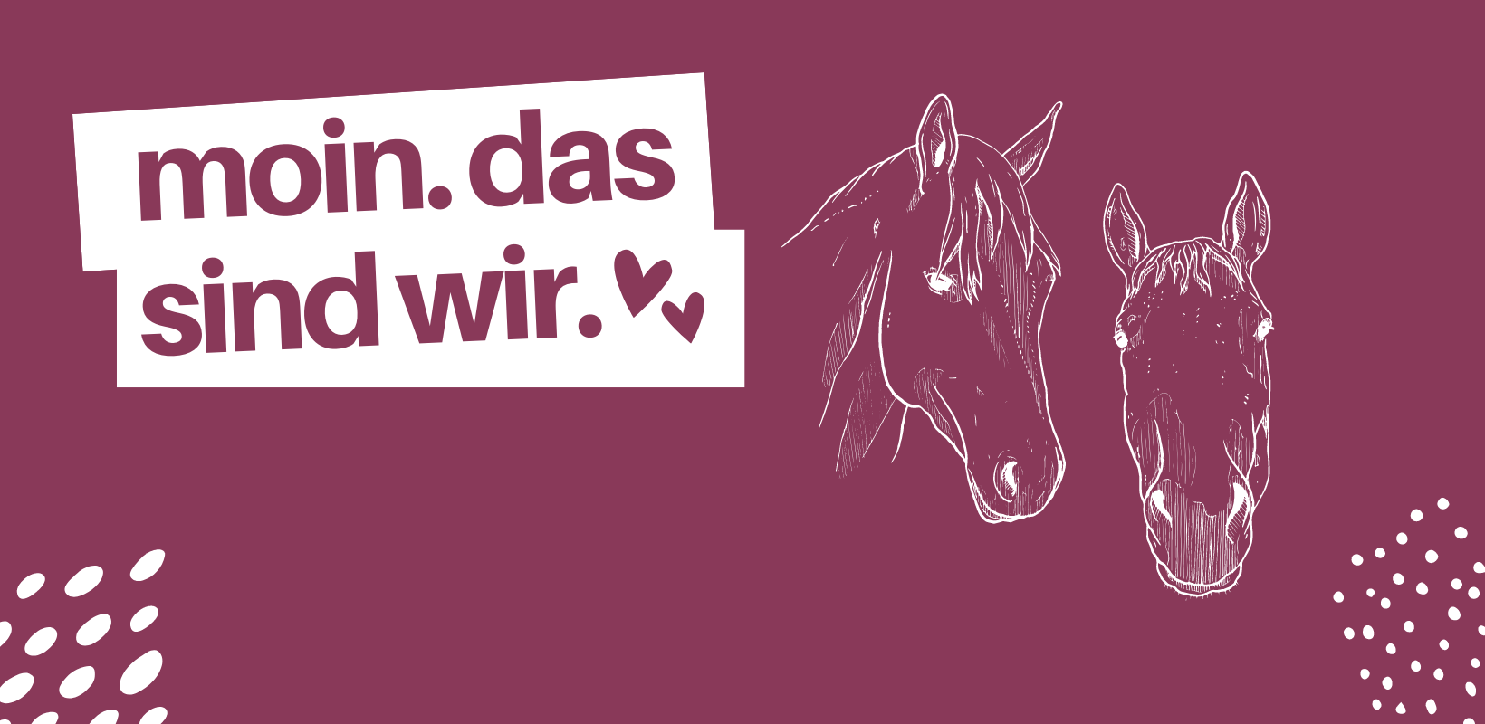 Online Reitshop Pferdegeschäft ran-ans-pferd.de